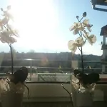 Apartmán Mieszka *